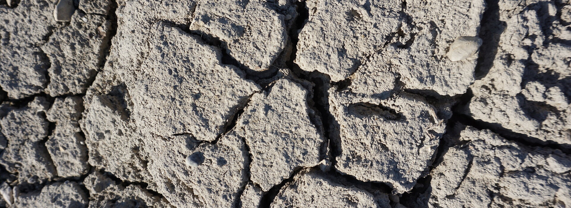 Das Bild zeigt einen ausgetrockneten Boden, dessen Erde aufgrund von Wassermangel aufgeplatzt ist.