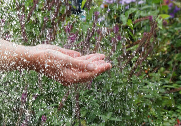 Zwei Hände werden mit der Handfläche nach oben geöffnet in das Bild gehalten. Von oben regnen zahlreiche Wassertropfen auf die Hände herab. Im Hintergrund sind blühende Pflanzen und Kräuter zu erkennen.