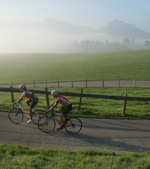 Das Bild zeigt zwei Rennradfahrer in Trikots und Radlerhosen, die einen Hügel emporfahren. Beide tragen einen Helm. Sie sind gerade um eine enge Kurve gefahren. Die Straße ist geteert. An die Straße grenzen Wiesen an. Parallel zur Straße verläuft ein Holzzaun. Der Morgennebel lichtet sich langsam. Die Sonne scheint. Der Himmel ist blau. Im Hintergrund erheben sich die Berge.  