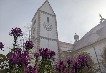 Kirche St. Mang im Nebel mit blühenden Pflanzen im Vordergrund.