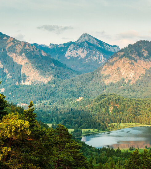 Das Bild zeigt eine weite grüne Landschaft. Im Vordergrund sind Bergwälder zu sehen, dazwischen liegend der Schwansee und die Königsschlösser auf den ersten Anhöhen. Im Hintergrund erheben sich die Gipfel von Tegelberg, Straußberg und Säuling im sanften Abendlicht.
