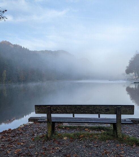 Das Bild zeigt eine Holzbank, die am Ufer des Obersees steht. Die Bank ist leer und bietet Besuchern einen ruhigen Ort, um die Aussicht zu genießen. Das Wasser spiegelt die umliegenden Bäume und den bedeckten Himmel wider und verleiht der Szene eine beruhigende Atmosphäre. Die Bäume haben gelbe und rote Blätter und ragen im Hintergrund auf. Der Himmel ist bedeckt und wirft ein weiches Licht über die gesamte Szene. 
