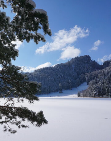 Schneebedeckte Kiefernäste im Vordergrund vor einem gefrorenen See und einem schneebedeckten Bergwald unter einem blauen Himmel mit weißen Wolken.