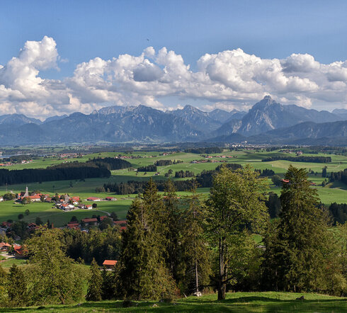 Das Bild zeigt eine weite grüne Landschaft. Im Vordergrund stehen dichte grüne Laubbäume. Dahinter liegen sanfte Hügel mit Wäldern, Feldern und kleinen Weilern. Den Hintergrund bilden große Berge.