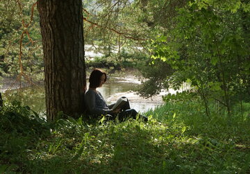 Das Bild zeigt eine Frau, die in einer grünen hohen Wiese sitzt und ein Buch liest. Die Frau lehnt mit dem Rücken an einem großen Baum, der einen weiten Schatten wirft. Zwischen den herabhängenden Ästen kann man im Hintergrund im Sonnenlicht glitzerendes Wasser sehen.
