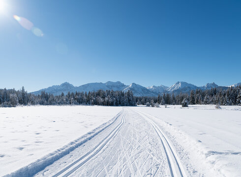 Das Bild zeigt eine frisch gespurte Ski-Langlaufloipe, die durch eine tief verschneite Wiese führt. Kein Mensch ist zu sehen. Im Hintergrund erheben sich die schneebedeckten Berge. Davor steht ein Nadelwald. Die Landschaft ringsum ist tief verschneit. Der Himmel ist blau. Die Sonne scheint. 