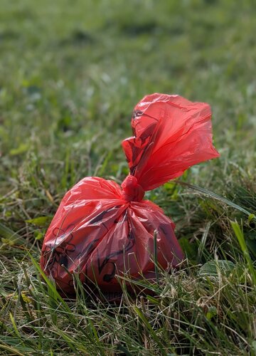 Das Bild zeigt einen Kundekotbeutel der in einer Wiese liegt.