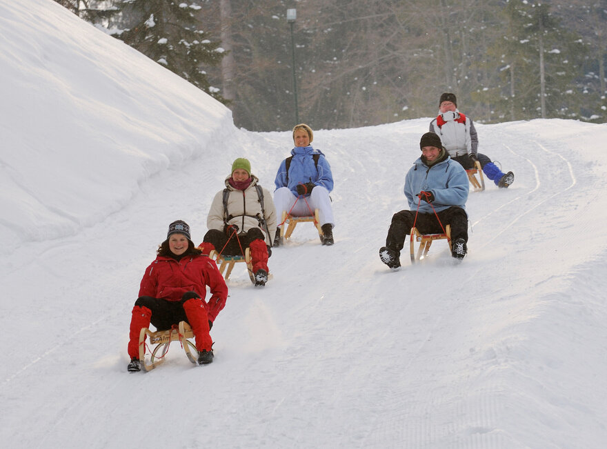 Das Bild zeigt fünf Personen, die je auf einem Holzschlitten eine Piste hinunterfahren. Alle tragen Winterkleidung und Mützen. Alle lächeln. Die Landschaft ringsum ist tief verschneit. Ringsum sind hohe Bäume zu sehen. Die Sonne scheint.