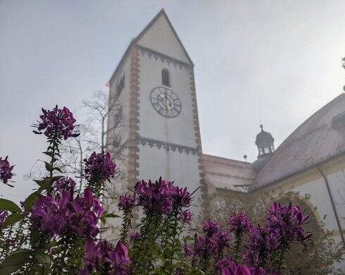 Kirche St. Mang im Nebel mit blühenden Pflanzen im Vordergrund.