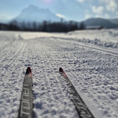 Die vorderen Spitzen zweier Langlaufski liegen auf einer präparierten Loipe. Der Schnee glitzert in der entgegenstrahlenden Sonne. Im Hintergrund ist der schneebedeckte Säuling zu erkennen.