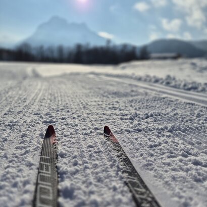 Die vorderen Spitzen zweier Langlaufski liegen auf einer präparierten Loipe. Der Schnee glitzert in der entgegenstrahlenden Sonne. Im Hintergrund ist der schneebedeckte Säuling zu erkennen.