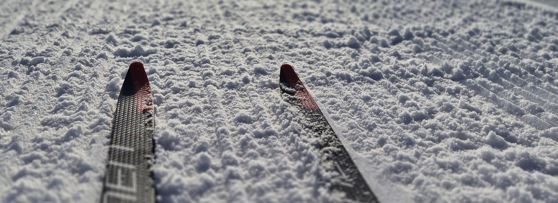 Die vorderen Spitzen zweier Langlaufski liegen auf einer präparierten Loipe. Der Schnee glitzert in der entgegenstrahlenden Sonne. Im Hintergrund ist der schneebedeckte Säuling zu erkennen.