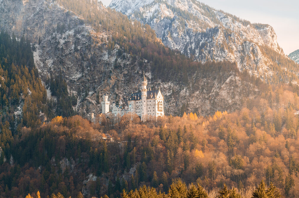 Das weiße Schloss Neuschwanstein mit seinen Türmen umgeben von frühwinterlichem Wald und felsigen, schneebedeckten Bergen im Hintergrund.