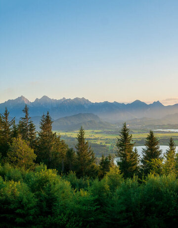Das Bild fängt ein atemberaubendes Panorama einer gebirgigen Landschaft unter einem klaren blauen Himmel ein. Die Sonne geht unter und wirft ein warmes Licht auf die Szene. Die Berge, mit ihrem majestätischen Gipfeln, dominieren die Hintergrundlandschaft, ihre Silhouetten stechen gegen den Himmel hervor. Im Vordergrund spiegelt sich ein ruhiger See, der Bannwaldsee, der den Frieden der Szene unterstreicht. Der See wird von üppigen grünen Bäumen umgeben, deren Blätter sanft in dem leichten Wind rauschen. 