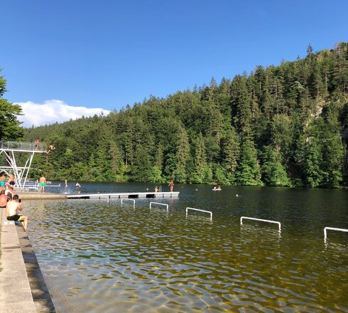 Das Bild zeigt eine lebendige Szene am Obersee. Der See ist von einem grünen Wald umgeben. Eine Gruppe von Menschen kann dabei beobachtet werden, wie sie sich im Wasser vergnügen, wobei einige schwimmen und andere sich am Ufer ausruhen. Am See befindet sich auch ein Sprungturm, der gerade von einigen Personen genutzt wird. Das Wasser hat einen lebhaften Blauton, der den klaren Himmel über ihm spiegelt. Das Ufer ist mit einem asphaltierten Weg gesäumt, wo weitere Personen beim Ausruhen und Genießen des Ausblicks beobachtet werden.