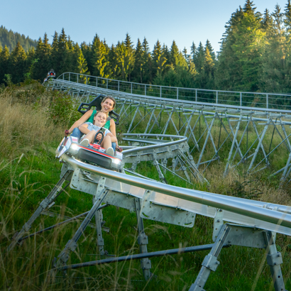 Das BIld zeigt eine Sommerrodelbahn.