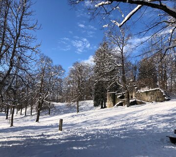 Der Baumgarten Füssen im Winter
