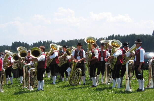 Eine Gruppe von Musikern in traditionellen Trachten steht auf einer Wiese. Sie spielen verschiedene große Blechblasinstrumente, hauptsächlich Tubas. Im Hintergrund sind Bäume und ein blauer Himmel sichtbar.