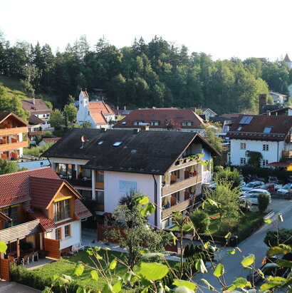 Das Bild zeigt eine Siedlung mit einigen Häusern und einer kleinen Kirche. Das Kurhotel Jakob befindet sich inmitten der umliegenden Häuser. Eingesäumt mit vielen großen Bäumen wirkt das Umfeld idyllisch.