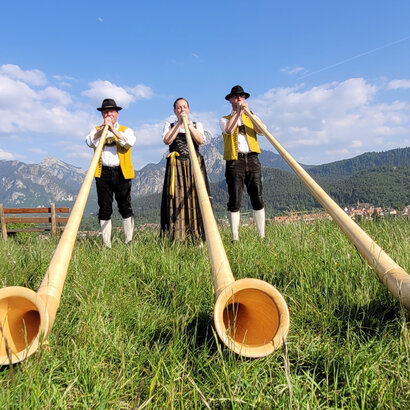 Drei Alphornbläser spielen auf einer Wiese ihr Instrument