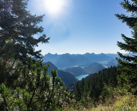 Das Bild zeigt die Aussicht auf die Alpengipfel über dem Alpsee bei Füssen im Allgäu
