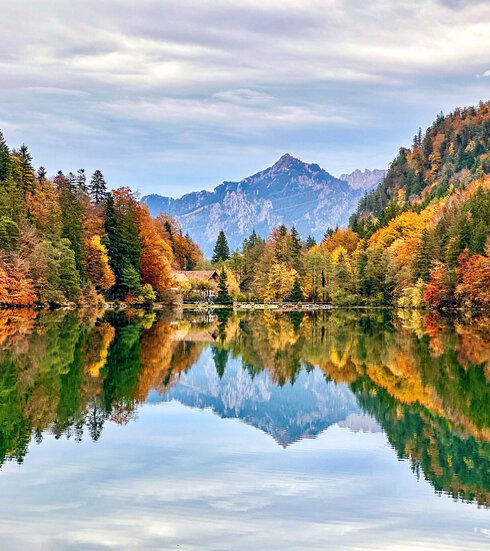 Das Bild fängt eine idyllische Herbstszene perfekt ein. Das Hauptmotiv des Bildes ist ein ruhiger See, der Alatsee, dessen Oberfläche ein Spiegelbild der umliegenden Landschaft ist. Der See liegt eingebettet in einen Wald aus Bäumen, deren Blätter eine lebendige Mischung aus orange, gelb und grünem Farben haben, typisch für die Herbstzeit. Der Wald erstreckt sich in die Ferne, erzeugt ein Gefühl von Tiefe und Weite. Im Hintergrund erheben sich majestätische Berge, deren Gipfel teilweise von einer Wolkenschicht verdeckt sind. Der Himmel über dem See ist ein klarer blauer Farbton, und er rundet das Gesamtbild der Szene ab. 