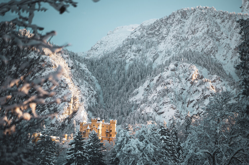 Das gelbe Schloss Hohenschwangau steht inmitten schneebedeckter Nadelbäume und hoher, schneebedeckter Berge unter einem klaren blauen Himmel.