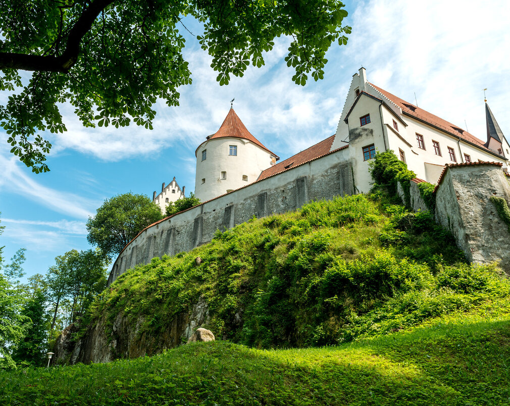 Man blickt von unten auf einen Teil des Hohen Schlosses. Ein Turm und spitz zulaufende Dächer sind zu sehen. Darunter liegt eine grüne Wiese. Die Schlossmauer ist von grünen Pflanzen bewachen. Der Himmel ist blau. Die Sonne scheint.