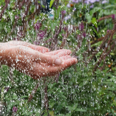 Zwei Hände werden mit der Handfläche nach oben geöffnet in das Bild gehalten. Von oben regnen zahlreiche Wassertropfen auf die Hände herab. Im Hintergrund sind blühende Pflanzen und Kräuter zu erkennen.