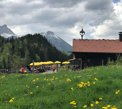Das Bild zeigt eine grüne Wiese auf der ein großes hölzernes Almhaus steht. Im Hintergrund sind bewaldete Hügel und hohe Berge zu erkennen.