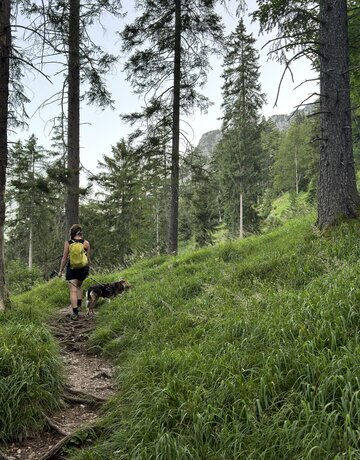 Das Bild zeigt eine Wandererin von hinten die auf einem schmalen Waldweg läuft und an der Leine einen Hund führt.