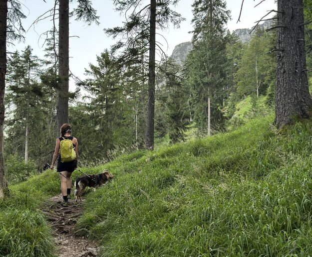 Das Bild zeigt eine Wandererin von hinten die auf einem schmalen Waldweg läuft und an der Leine einen Hund führt.