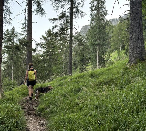 Das Bild zeigt eine Wandererin von hinten die auf einem schmalen Waldweg läuft und an der Leine einen Hund führt.