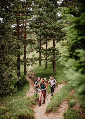 Das Bild zeigt zwei Frauen und einen Mann in Outdoor-Kleidung und mit Rucksäcken und Wanderstöcken ausgerüstet. Sie laufen lachend einen gewundenen Pfad in einem Kiefernwald entlang.