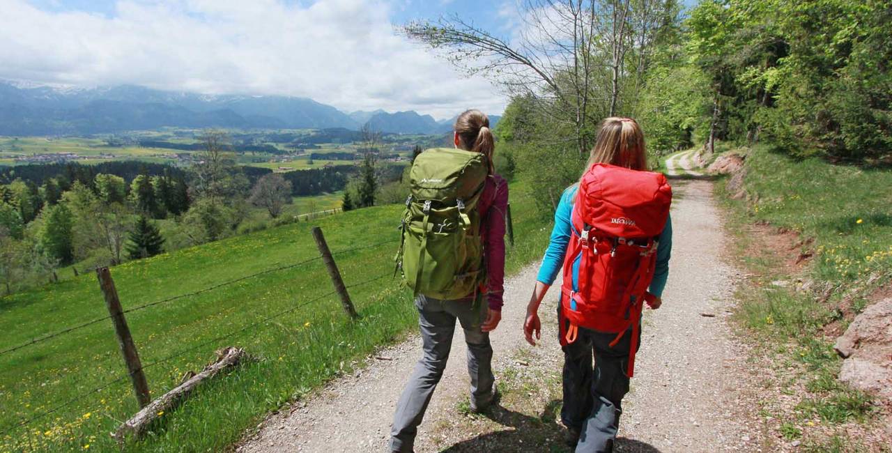 Wanderung in Richtung Alpe Beichelstein mit Blick auf blühende Löwenzahnwiesen.