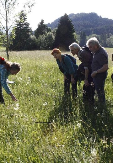 Veranstaltungsbild: Pflanzenwissen: Was heilt, was schmeckt?