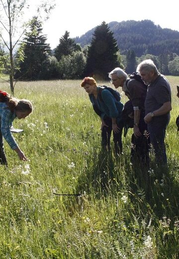 Veranstaltungsbild: Pflanzenwissen: Was heilt, was schmeckt?