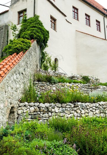 Veranstaltungsbild: Tag der offenen Tür im Terrassengarten am Hohen Schloss