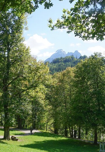 Veranstaltungsbild: Kneipp Verein Veranstaltungsreihe: Von Besinnung und Heilkräutern