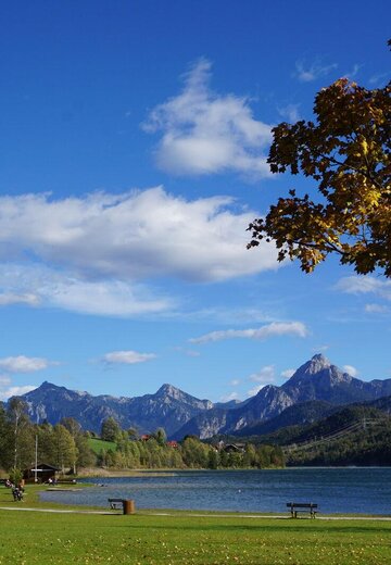 Veranstaltungsbild: Rock am See