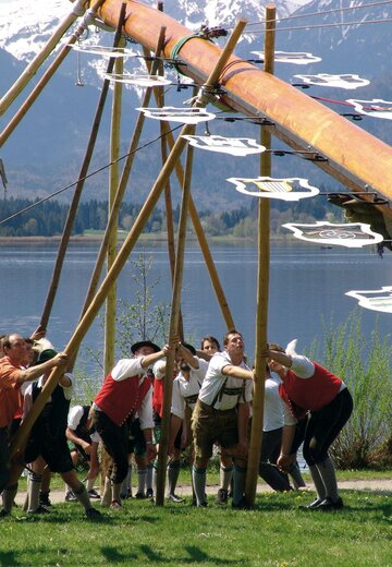 Veranstaltungsbild: Maibaumfest am Hopfensee