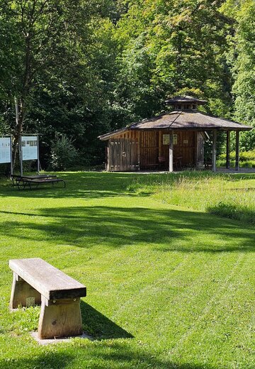 Veranstaltungsbild: Kneipp Verein Veranstaltungsreihe: Pflanzengeflüster und Naturkraft