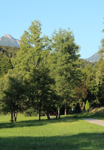 Veranstaltungsbild: Denkpfad: Ein Spaziergang für Körper & Geist