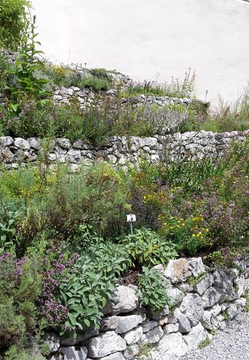 Veranstaltungsbild: Fotowettbewerb zum Terrassengarten im Hohen Schloss
